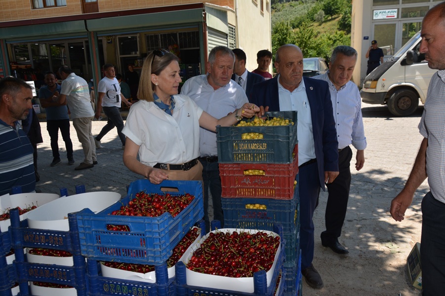 Aşağı Yakacık Mahallesinde 2025 Yılı Kiraz Alım Satım Yeri Ziyareti 